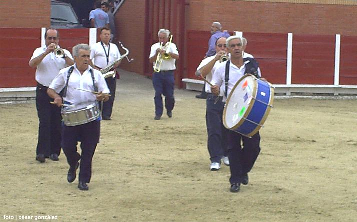 foto de los novillos